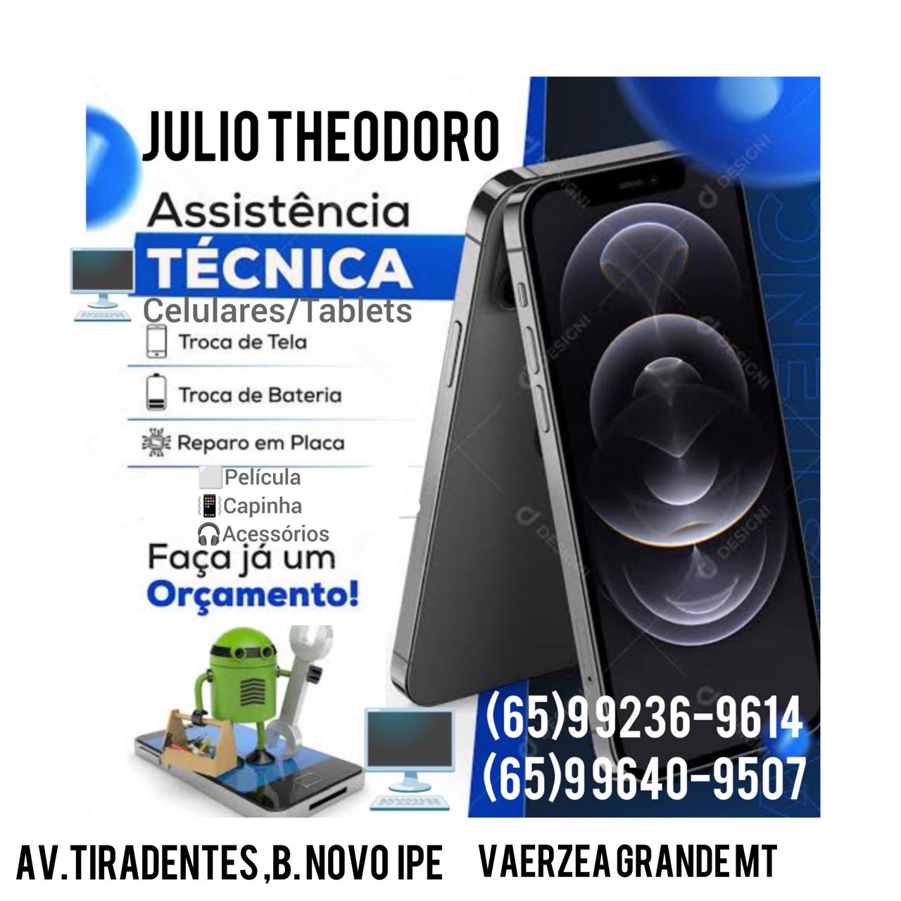 Julio Theodoro Assistência técnica