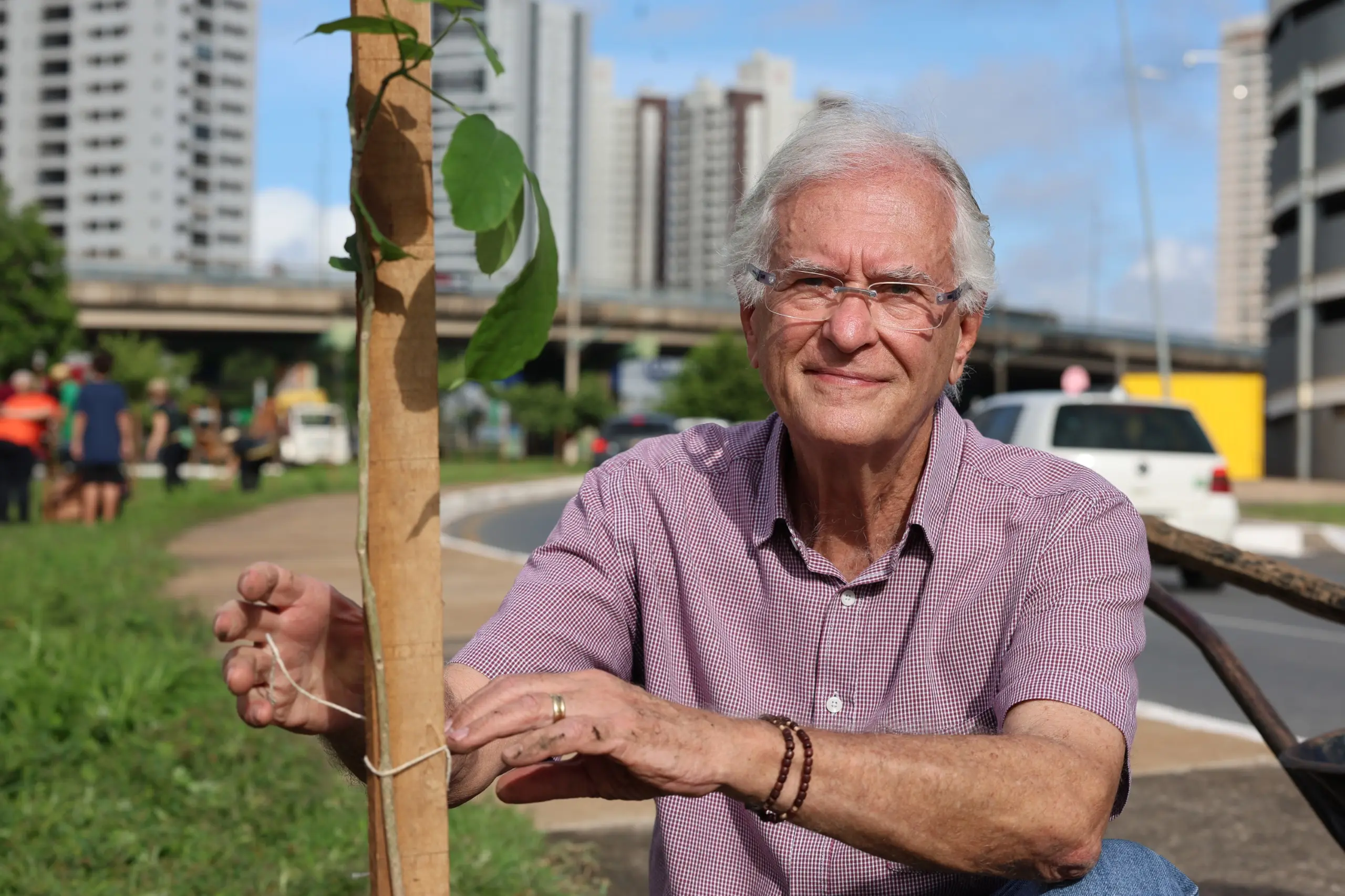 Homem de cabelos brancos, camisa xadrez rosa, agachado ao lado de muda plantada em canteiro de avenida, com prédios ao fundo.