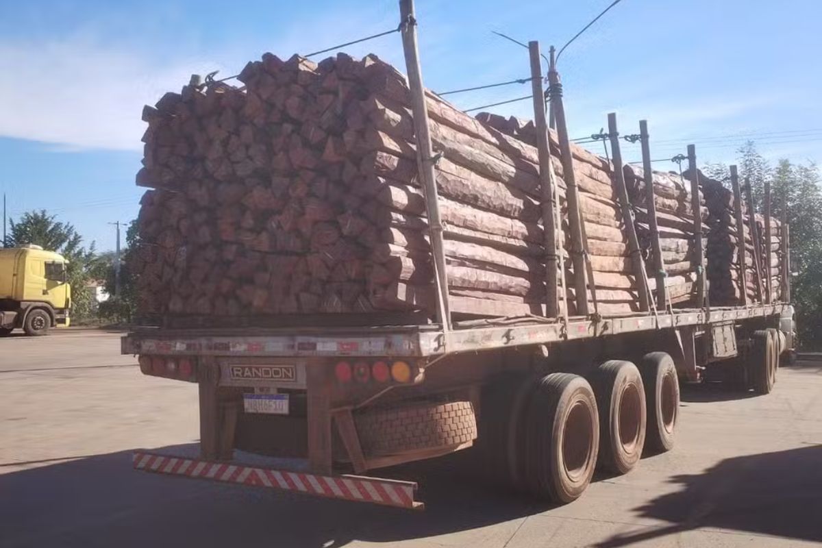 Droga líquida infiltrada em madeira. - Foto: Divulgação