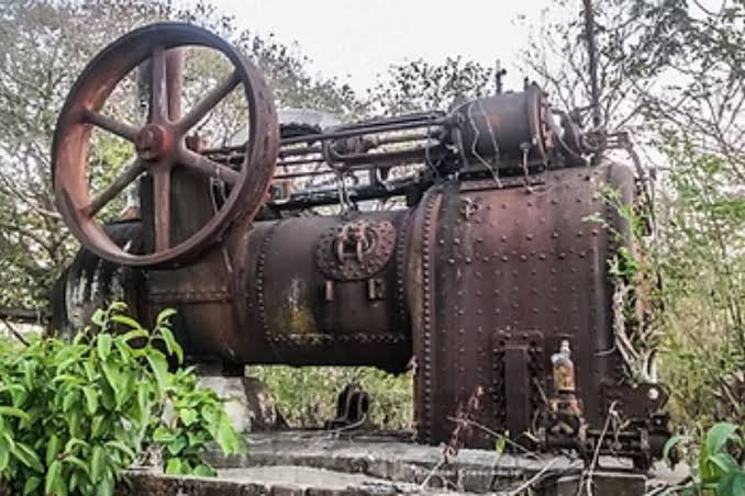 Fazenda às margens do Rio Paraguai abriga sítio arqueológico e urnas indígenas