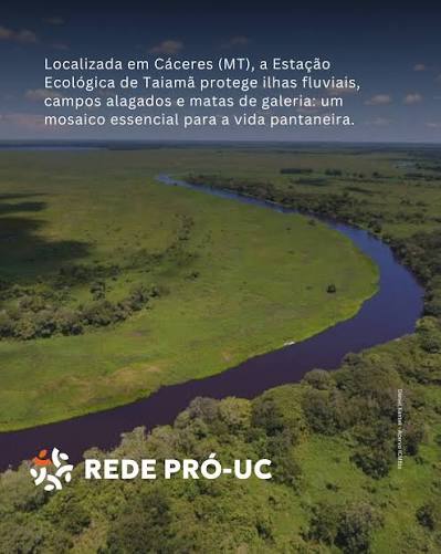 Rede Pró-UC | A Estação Ecológica de Taiamã é um santuário no coração do Pantanal: abriga a maior concentração de onças-pintadas do planeta e protege... | Instagram