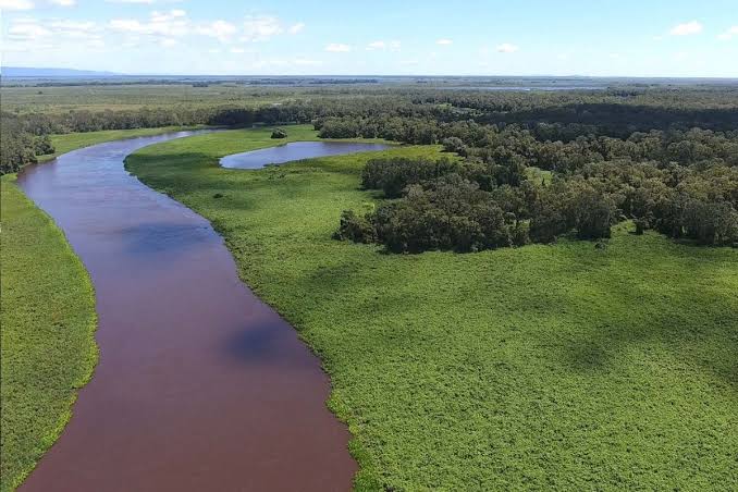 Projeto contra ampliação de áreas de reserva no Pantanal ameaça pesca e turismo, alertam especialistas
