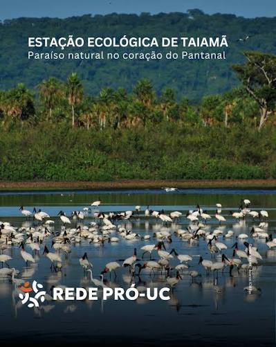 Rede Pró-UC | A Estação Ecológica de Taiamã é um santuário no coração do Pantanal: abriga a maior concentração de onças-pintadas do planeta e protege... | Instagram