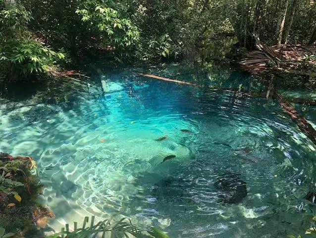 Nobres, paraíso das águas cristalinas