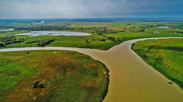 Cáceres : Estação Ecológica de Taiamã, um refúgio no Pantanal. - Cia de Notícias